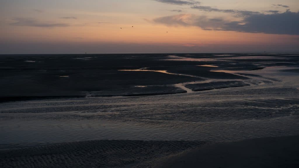 Het Wad in de wet: moet het ecosysteem een stem krijgen?